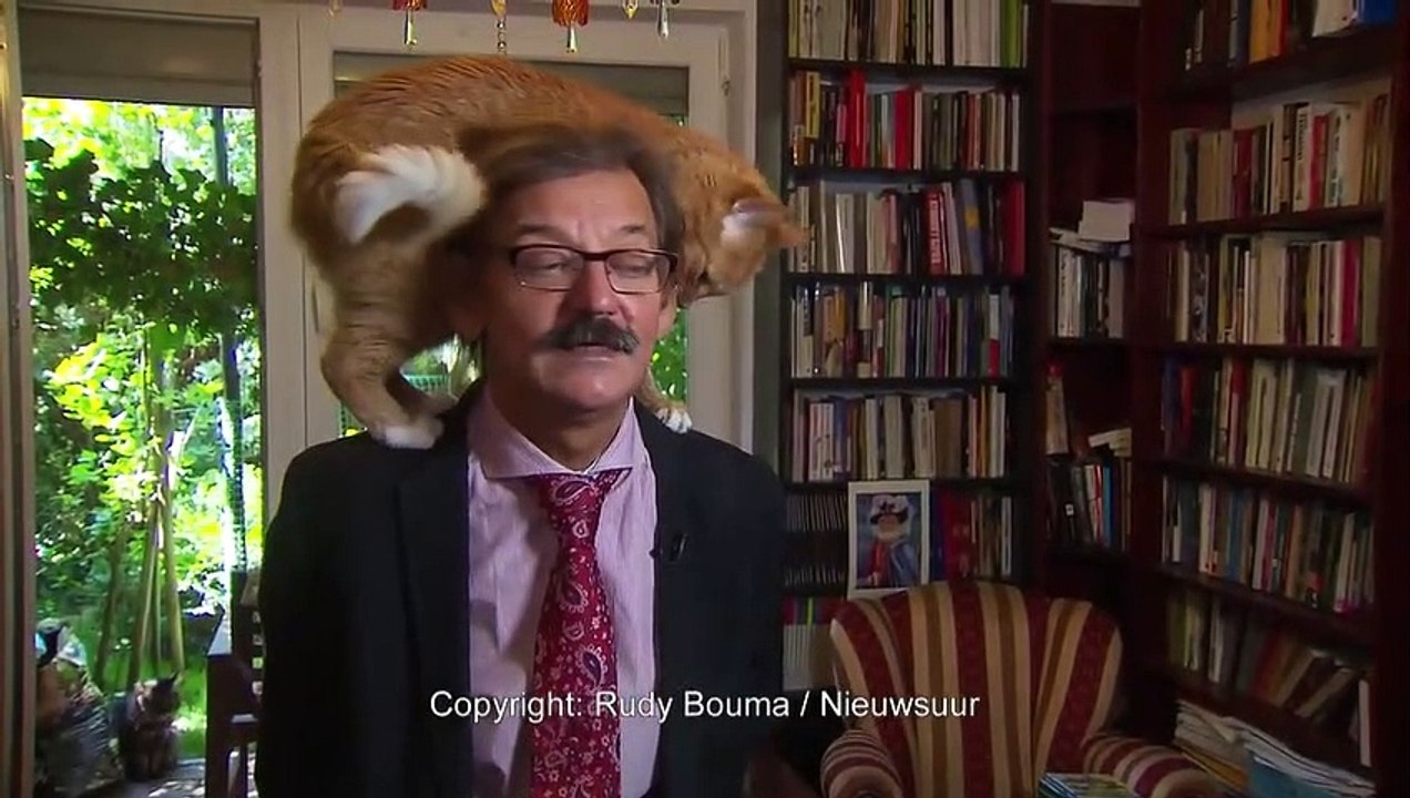 Donner une interview avec son chat sur les épaules (Pologne)   Give an interview with your cat on your shoulders (Poland)