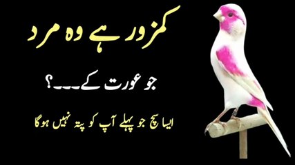 Kamzor hai wo mard || urdu aqwal || Asad voice