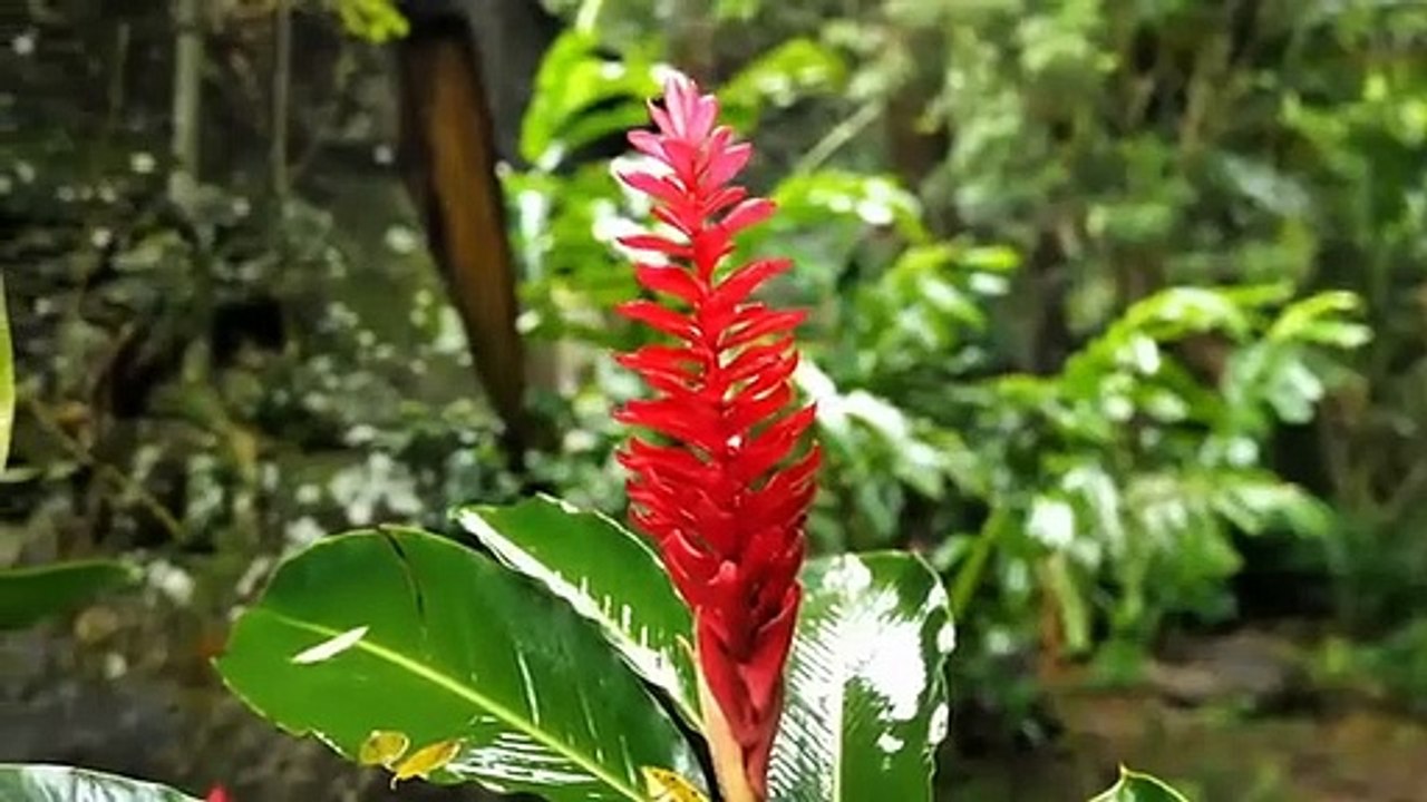 Wissenschaftler machten eine gruselige Entdeckung in der Sahara.