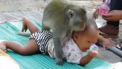 25 Amazing Animal Facts You Might Not Know