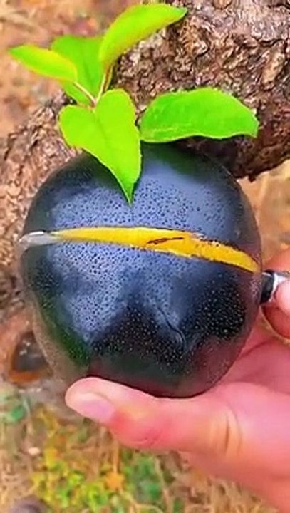 Unique fruit
