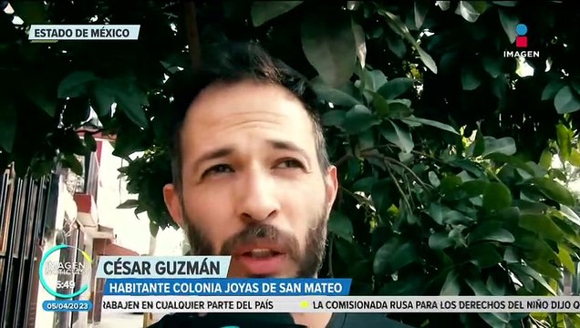 Rescatan a 47 perros en Texcoco; presentaban huellas de maltrato