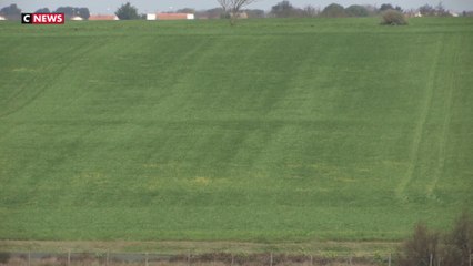 Bio contre non-bio, un conflit dans une ville de Charente-Maritime