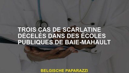 Trois cas de scarlatine décelés dans des écoles publiques de Baie-Mahault