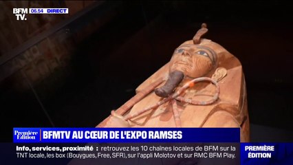 "Ramsès et l'or des pharaons", l'exposition à découvrir à partir de ce vendredi à la Villette à Paris