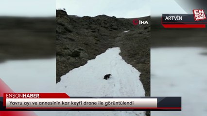 Yavru ayı ve annesinin kar keyfi drone ile görüntülendi