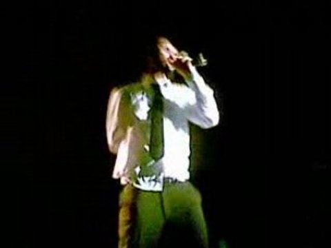 Regard la haut la fouine a la cigale