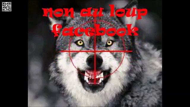 Nouvelle manifestation des éleveurs de brebis contre le loup