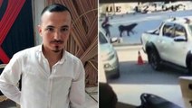 Mersin'de başıboş köpekler, belediye çalışanına saldırdı