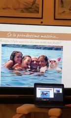 Reasons For Getting A Cat