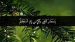 Very Very Beautiful Tilawat-e-Quran RecitationIslamic video/shorts/تلاوت قرآن مجید
