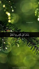 Very Very Beautiful Tilawat-e-Quran RecitationIslamic video/shorts/تلاوت قرآن مجید
