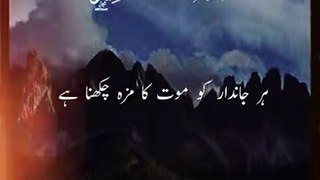 Very Very Beautiful Tilawat-e-Quran Recitation/Islamic video/shorts/تلاوت قرآن مجید