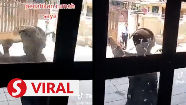 Cops nab man to help in probe into viral video of damaging Ipoh property