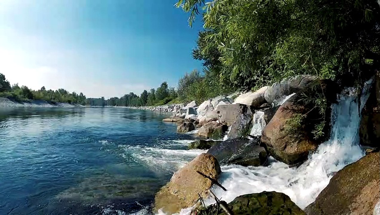 Beautiful small river in the forest.