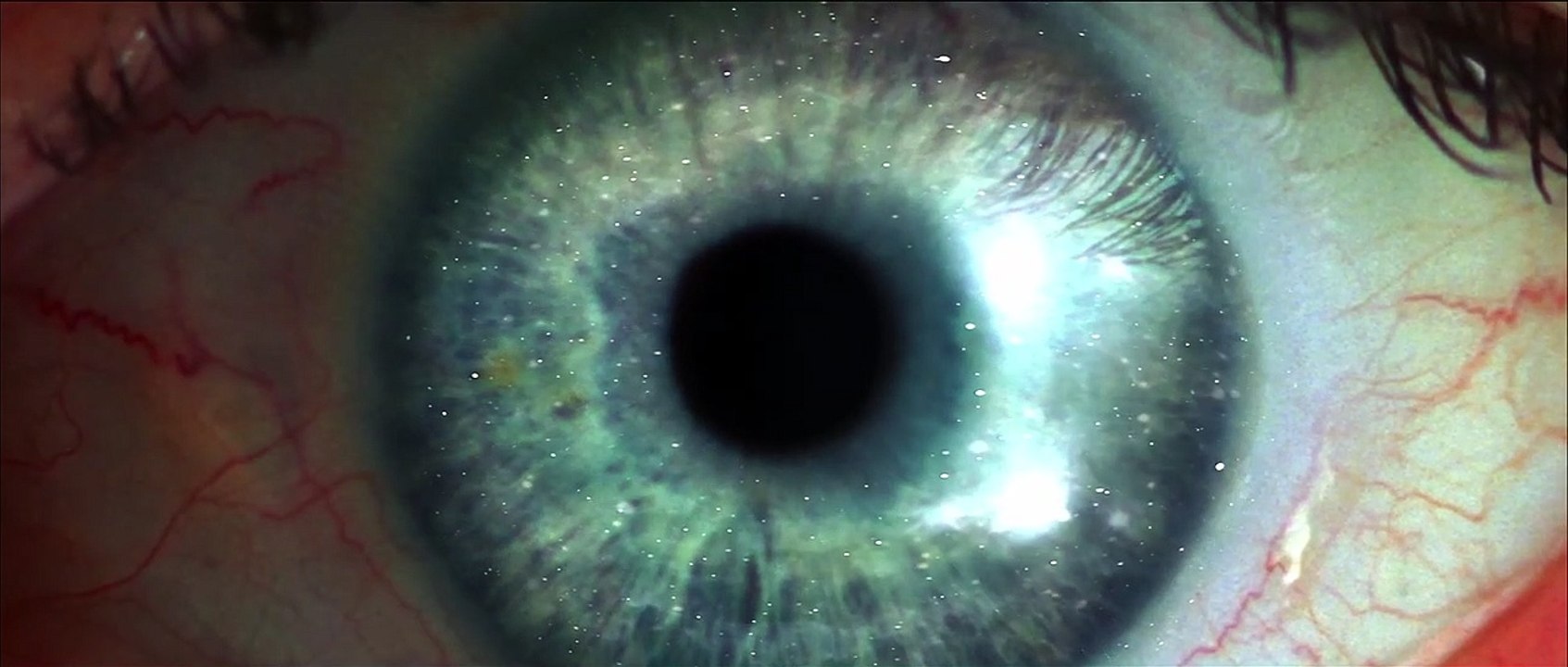 Star Trek 10: Nemesis Trailer DF