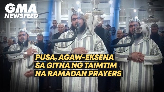 Pusa, agaw-eksena sa gitna ng taimtim na Ramadan prayers | GMA News Feed