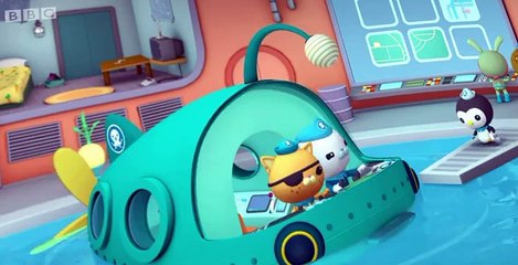 The Octonauts The Octonauts S01 E029 – The Seahorse Tale
