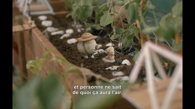 Marcel, le Coquillage (avec ses chaussures) Bande-annonce VO