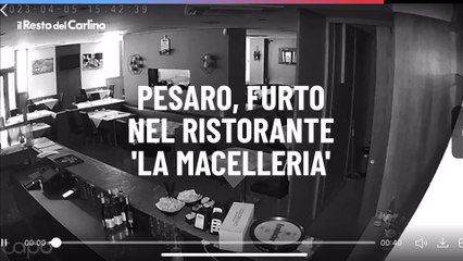 Pesaro, furto nel ristorante 'La macelleria' di Umberto Carriera: il video del ladro in azione