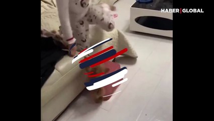 Küçük kızı taklit eden yavru köpek onu dikkatlice izledi: Öğrendiklerini uyguladığı anlar yürekleri ısıttı