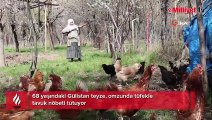 68 yaşındaki Gülistan teyze, omzunda tüfekle tavuk nöbeti tutuyor