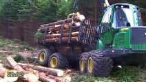 Danger Fastest Chainsaw Cutting Tree Machines_ Big Felling Tree Heavy Equipment Machine(240P)