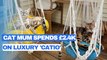 Cat-mum spends £2.4k on luxury 'catio' for  her pet felines complete with big towers and a DIY rope
