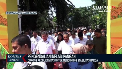Menko Perekonomian: Inflasi Nasional Turun Dibawah 5%