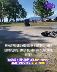 Heartwarming Rescue: Saving a Bunny in need of help!