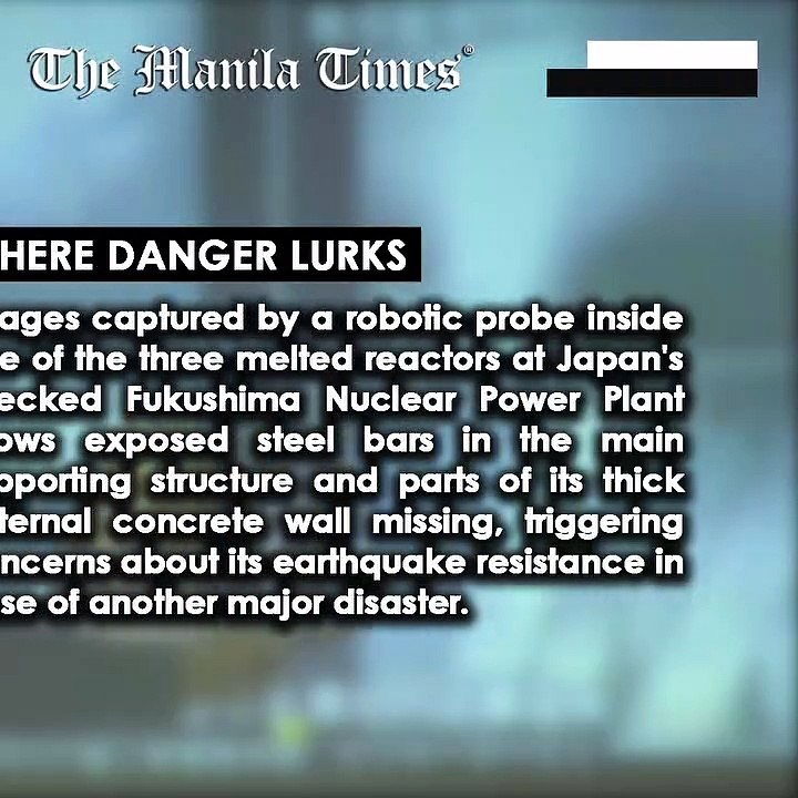 Where danger lurks video Dailymotion