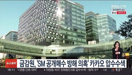 금감원, 'SM 공개매수 방해 의혹' 카카오 압수수색