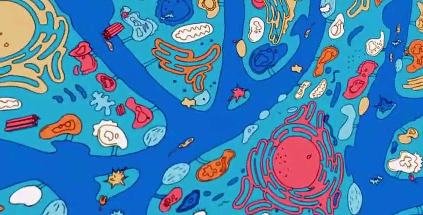 Superjail! S01 E07
