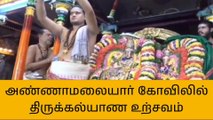 திமலை:அண்ணாமலையார் கோவிலில் திருக்கல்யாண உற்சவம்!