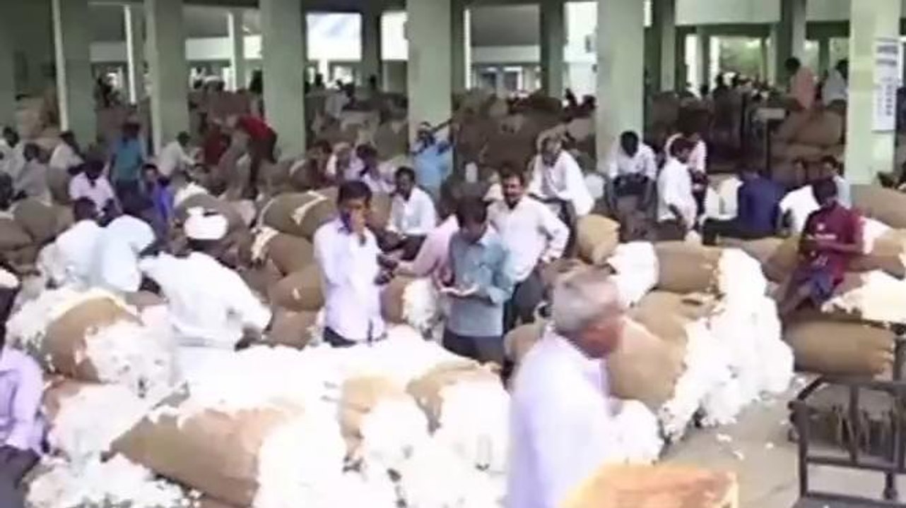 వరంగల్ ఈస్ట్: తగ్గుతున్న పత్తి ధరలు.. అన్నదాత కళ్లలో కన్నీళ్లు