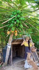 Enjoy beautiful nature with rural life