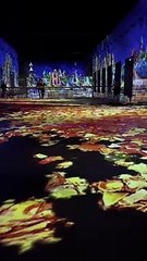 Bassin des lumières à BORDEAUX le 30/03/2023