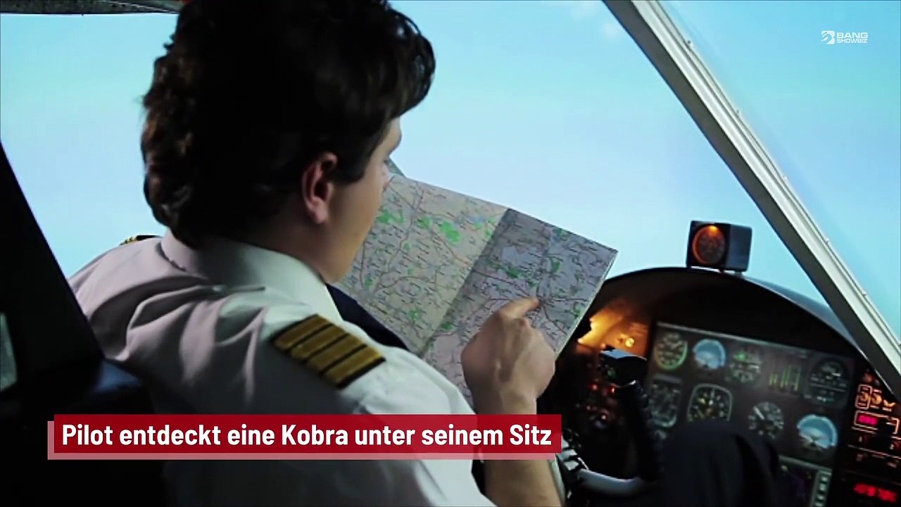 Pilot entdeckt eine Kobra unter seinem Sitz
