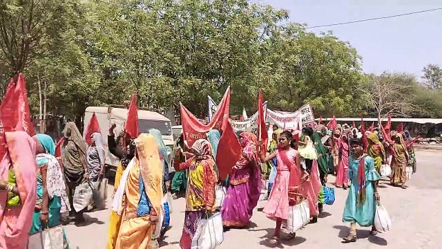 Administration silent on forest harvesting, tribals surrounded the collectorate