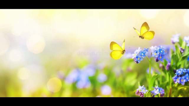 #zulfiqarali,Zulfiqar Ali,jannat mein bachche paidaish kaise hogi,Jannat mein bachcha,jannat kaisi hai,jannat mein koun jayega,jannat mein log kis tarah rahenge,urdu stories,islamic stories,Jannat Mein Mard Ko Hoor Milengi To Orton Ko Kya Milega,Jannat Me