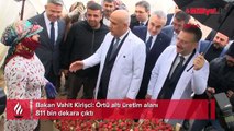 Bakan Vahit Kirişci: Örtü altı üretim alanı 811 bin dekara çıktı