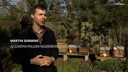 Több mint egymillió aláírás gyűlt össze a méhek védelme és a növényvédő szerek betiltása érdekében