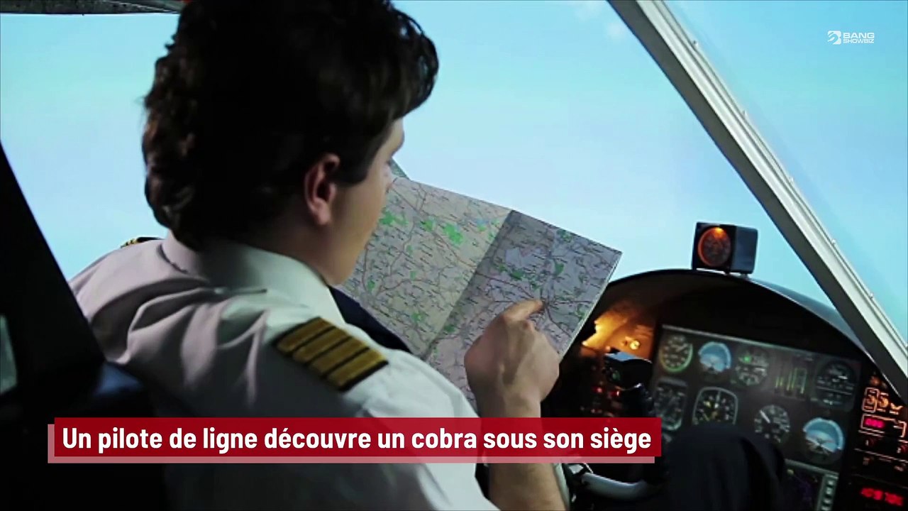 Un pilote de ligne découvre un cobra sous son siège !