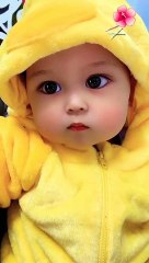 Adorable Video to Brighten Your Day 😊