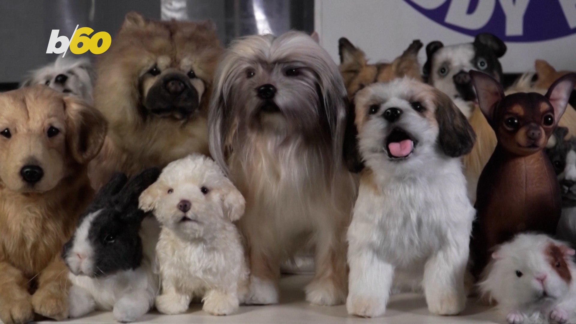 ⁣Life-like Stuffed Animals Memorialize Lost Pets