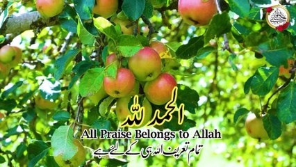 Alhamdulillah 300 Times I Alhamdulillah Wazifa I Alhumdulillah Zikr | Hasbi Allah #shorts #wazifa