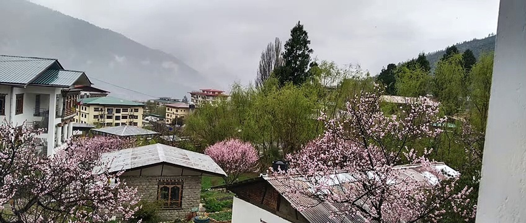 Beautiful nature