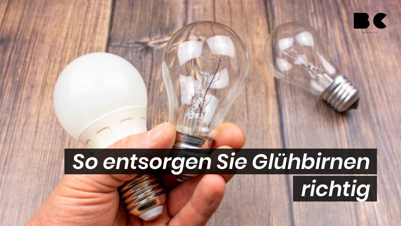 So entsorgen Sie Glühbirnen richtig