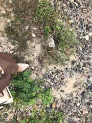 Kondisi Kawasan Tambang Pasir Galian C di Simpang Peut