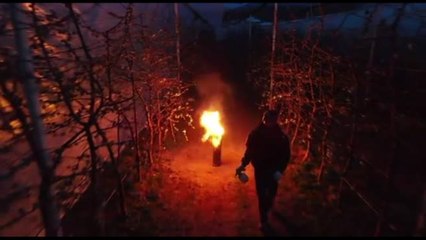 Val di Non: stufe tra i filari per i ciliegi a rischio gelata